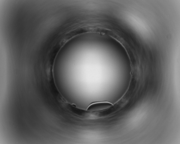 X0000094230525200711091316