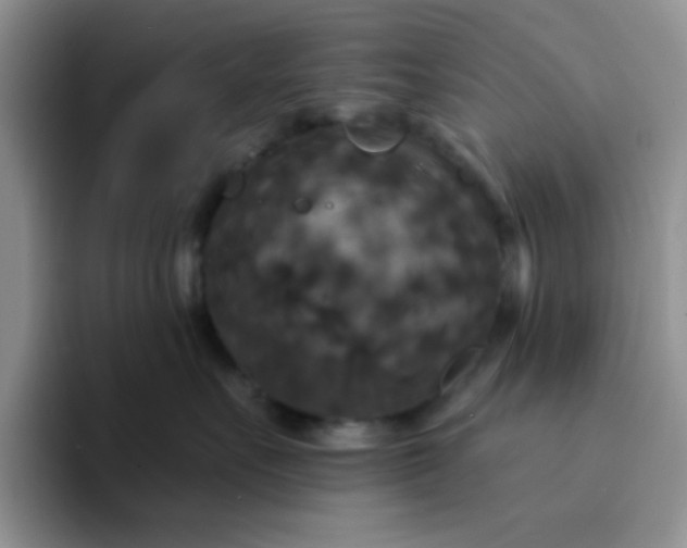 X0000094230527200711091316