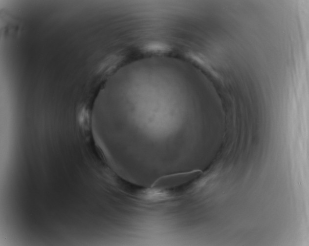 X0000094230528200711091316