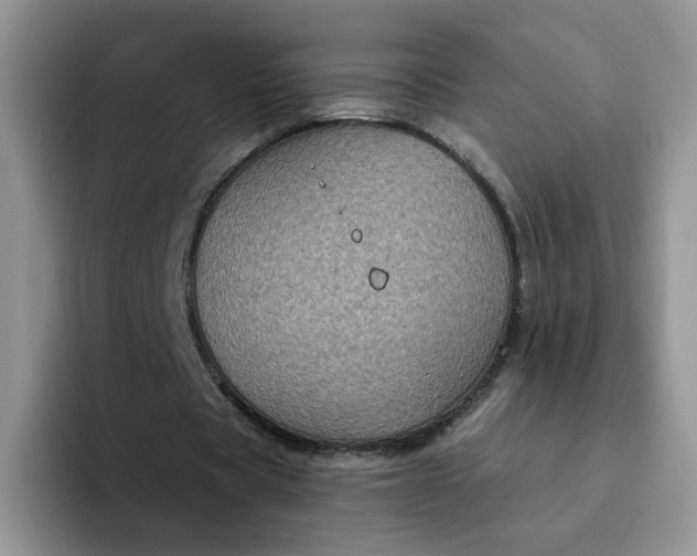 X0000094230529200711091316