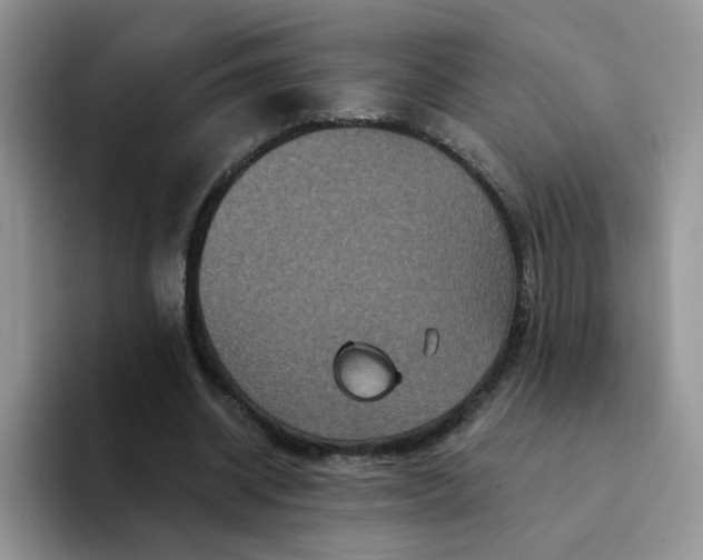 X0000094230534200711091316