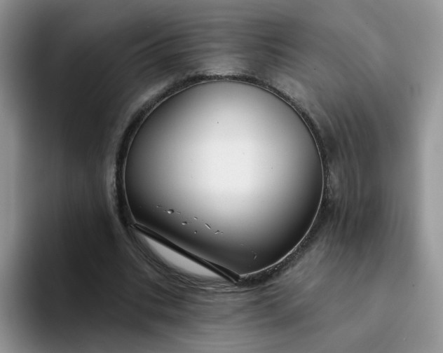 X0000094230535200711091316