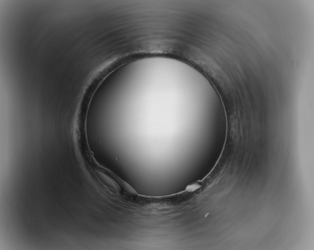 X0000094230536200711091316