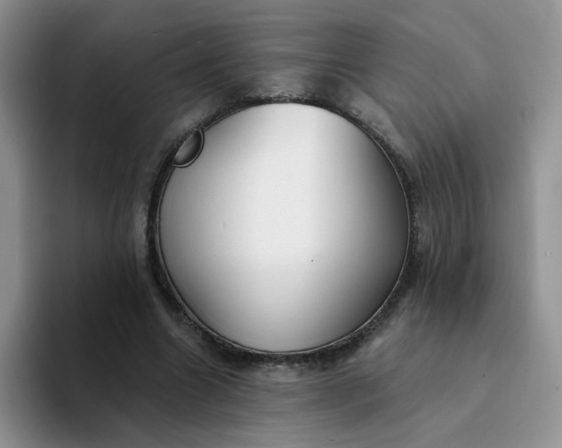 X0000094230538200711091316