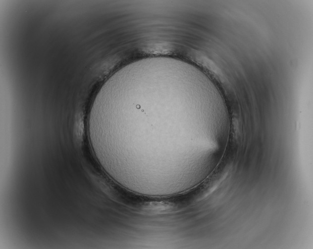 X0000094230541200711091316