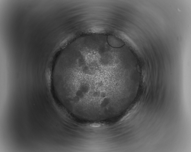 X0000094230542200711091316