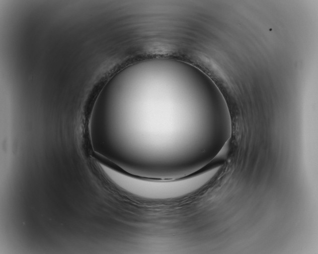 X0000094230544200711091316