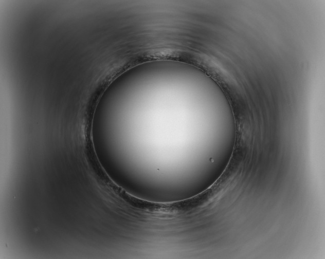 X0000094230546200711091316