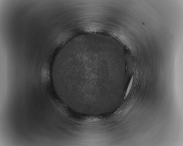 X0000094230547200711091316