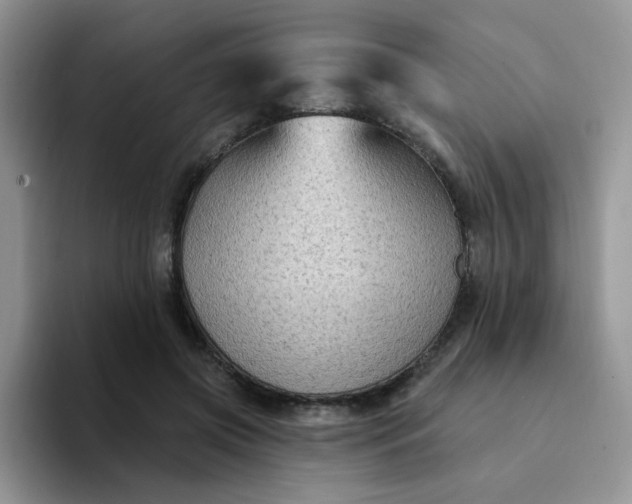 X0000094230549200711091316