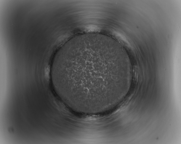 X0000094230550200711091316