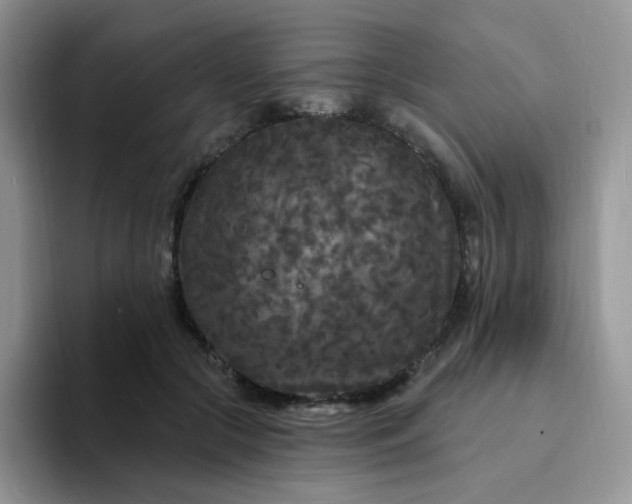 X0000094230553200711091316