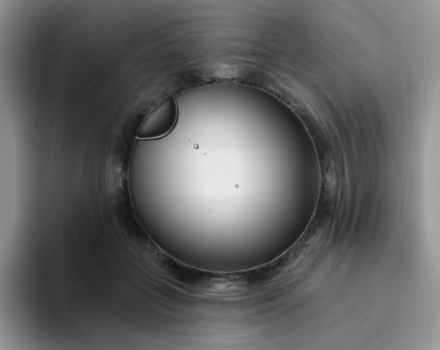 X0000094230555200711091316