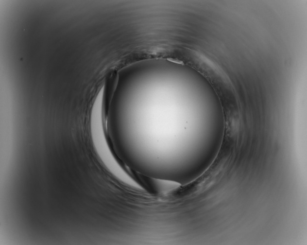 X0000094230558200711091316