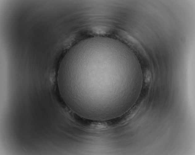 X0000094230559200711091316