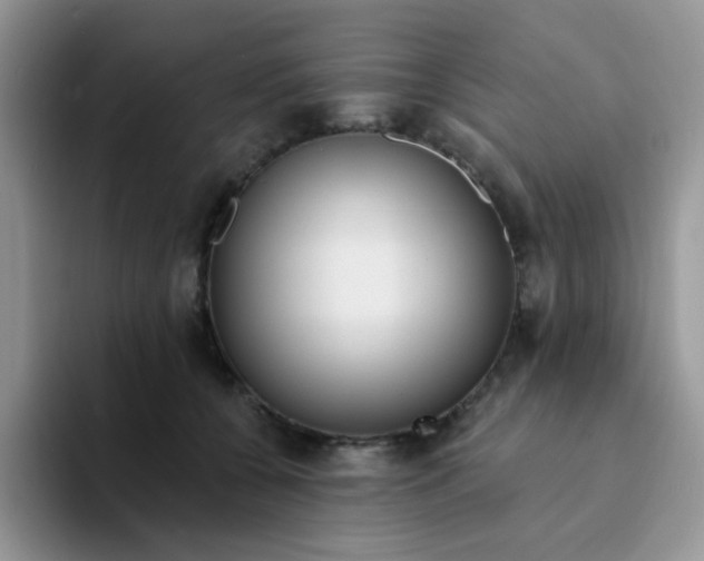 X0000094230560200711091316