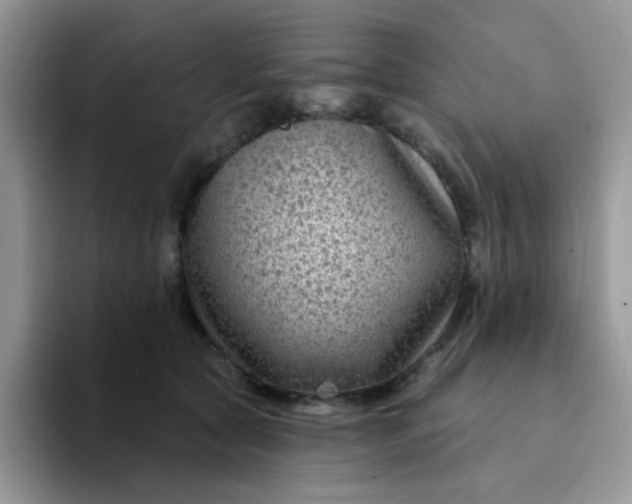 X0000094230561200711091316