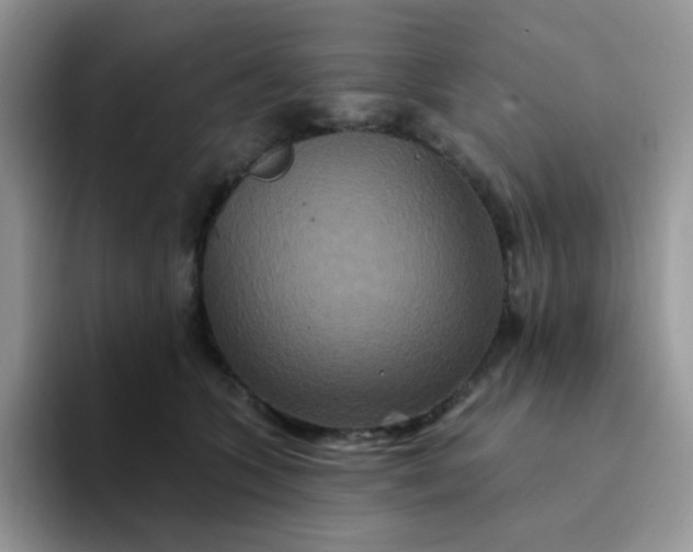 X0000094230563200711091316