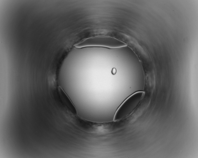 X0000094230564200711091316