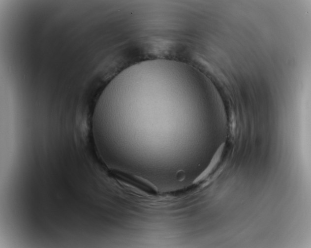 X0000094230566200711091316