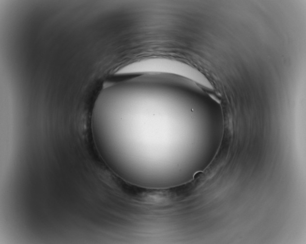 X0000094230567200711091316