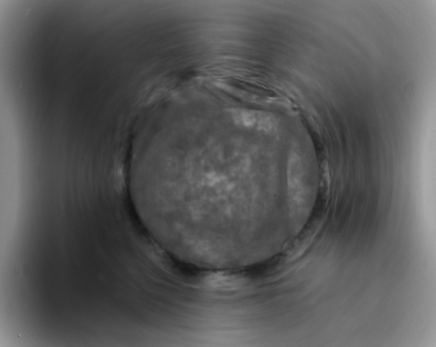 X0000094230568200711091316