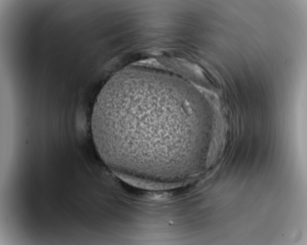 X0000094230569200711091316