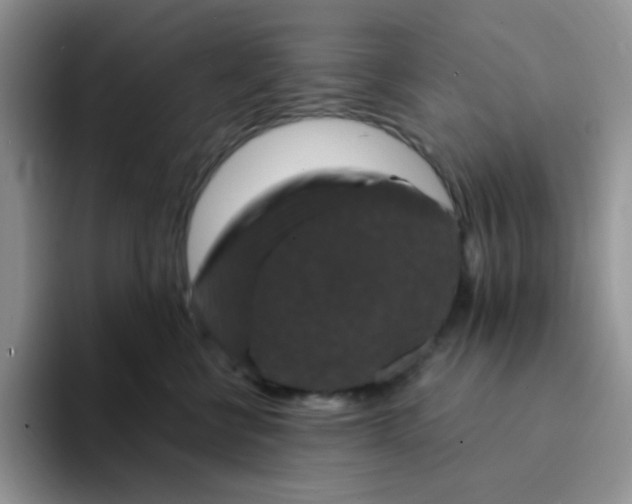 X0000094230570200711091316