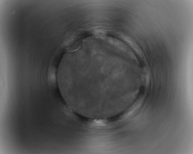 X0000094230573200711091316