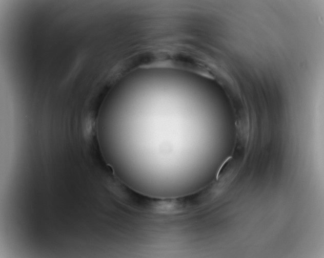 X0000094230574200711091316