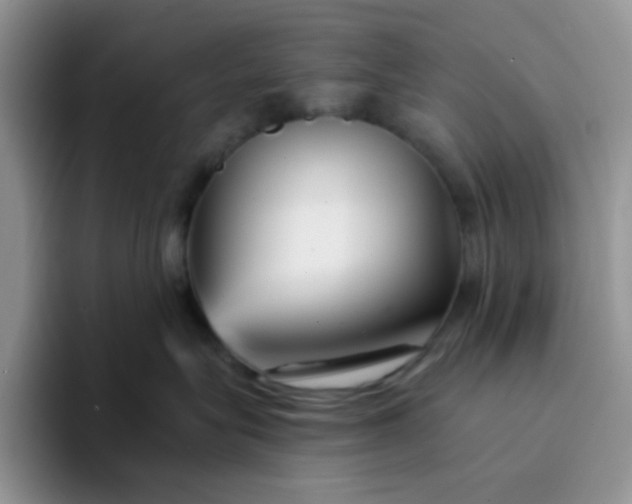 X0000094230575200711091316