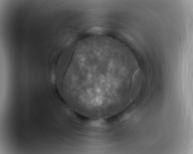 X0000094230576200711091316