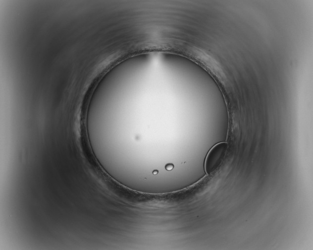 X0000094230578200711091316