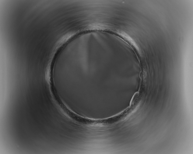 X0000094230581200711091315