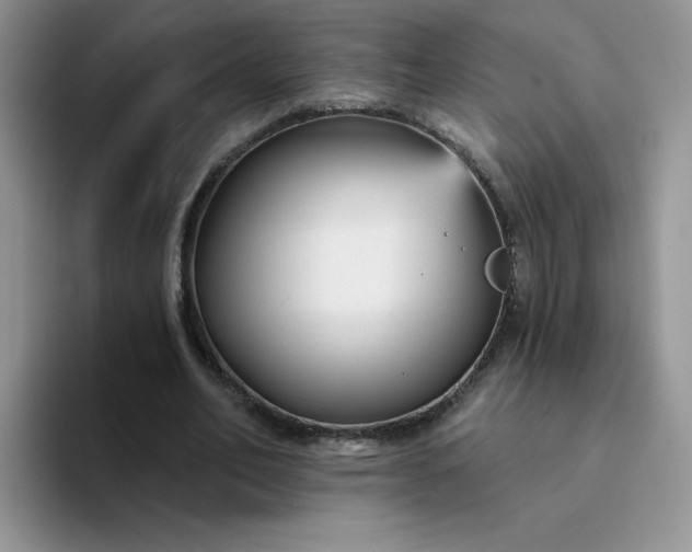 X0000094230582200711091315