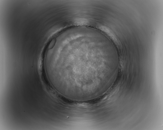 X0000094230583200711091315