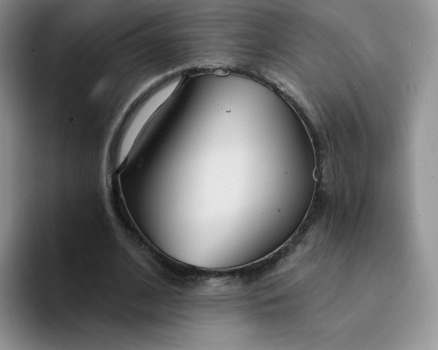 X0000094230584200711091315