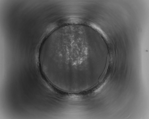 X0000094230585200711091315