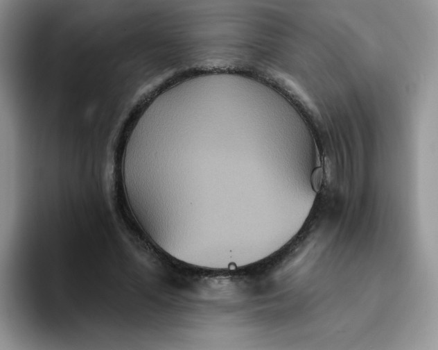 X0000094230588200711091315