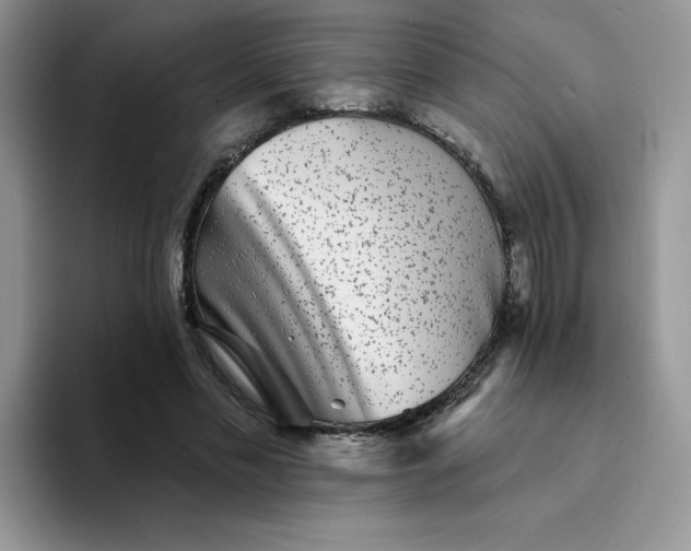 X0000094230589200711091315