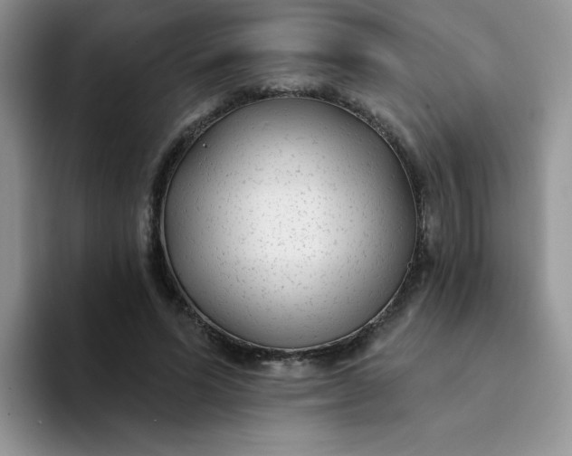 X0000094230591200711091315