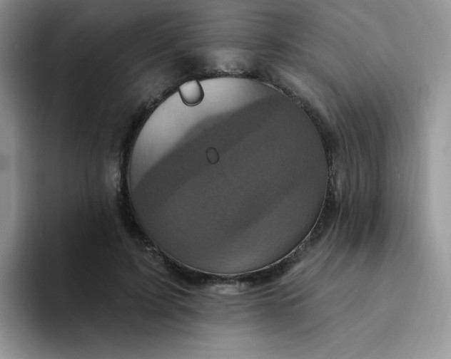 X0000094230595200711091315