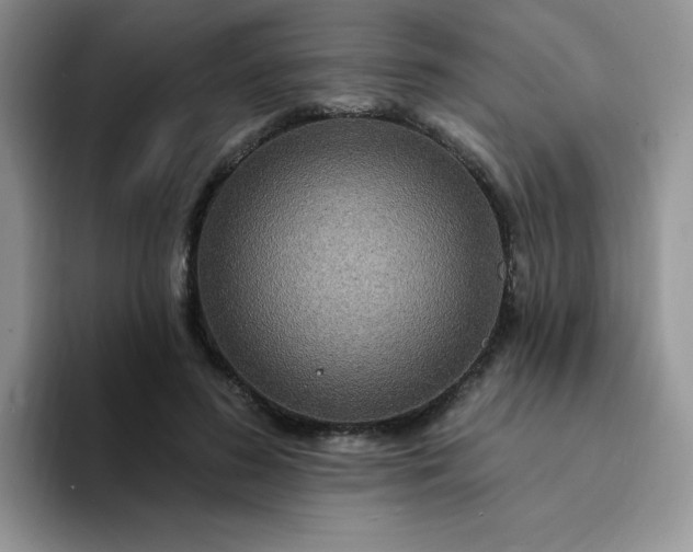 X0000094230596200711091315