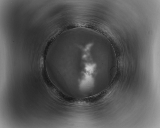 X0000094230598200711091315