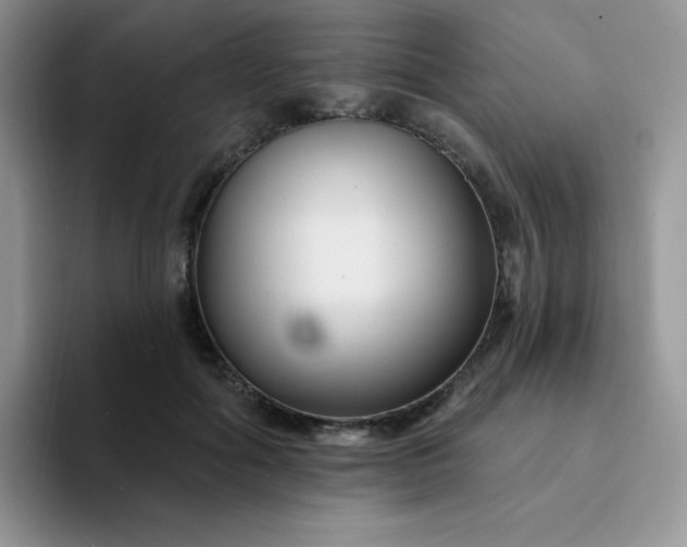 X0000094230602200711091315