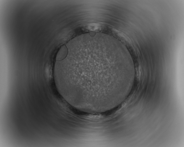 X0000094230606200711091315