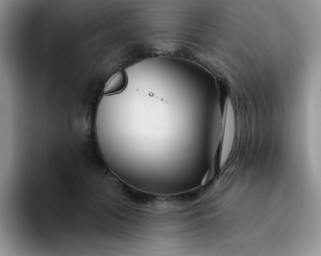 X0000094230608200711091315