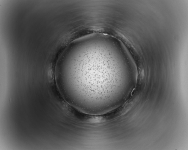 X0000094230609200711091315