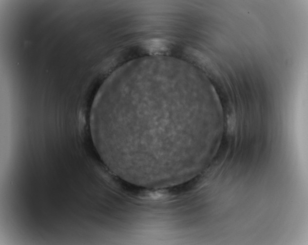 X0000094230618200711091315