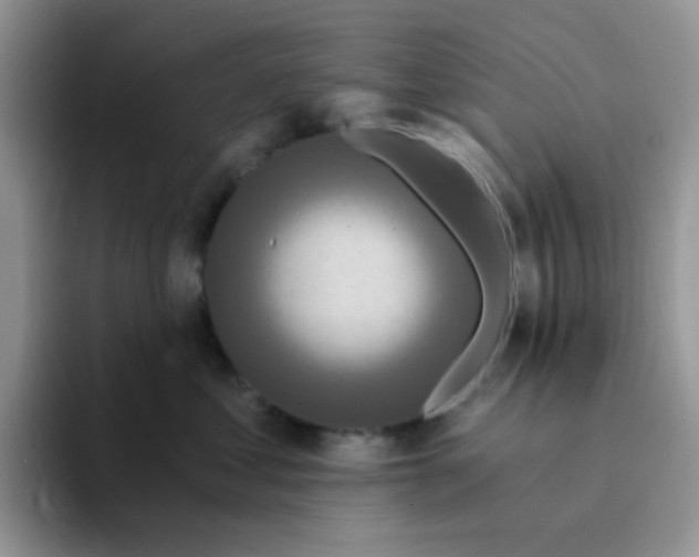 X0000094230621200711091315